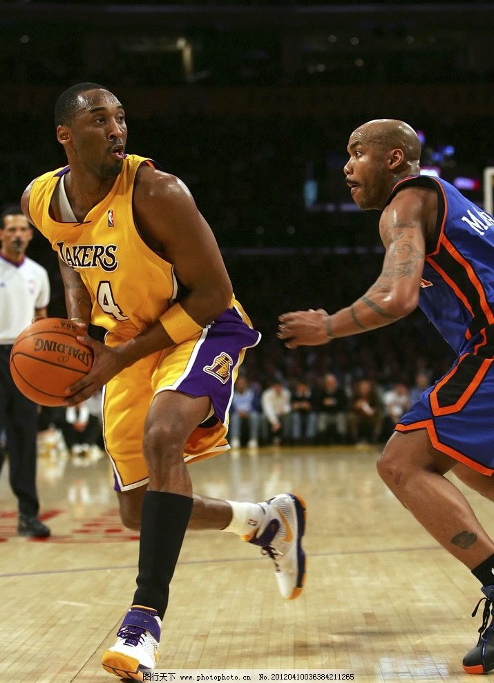 马布里图片,篮球明星 纽约尼克斯队 马政委 独狼