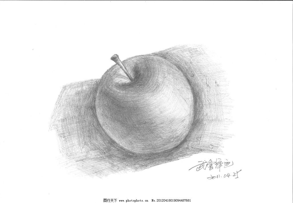 一半苹果素描静物图片展示