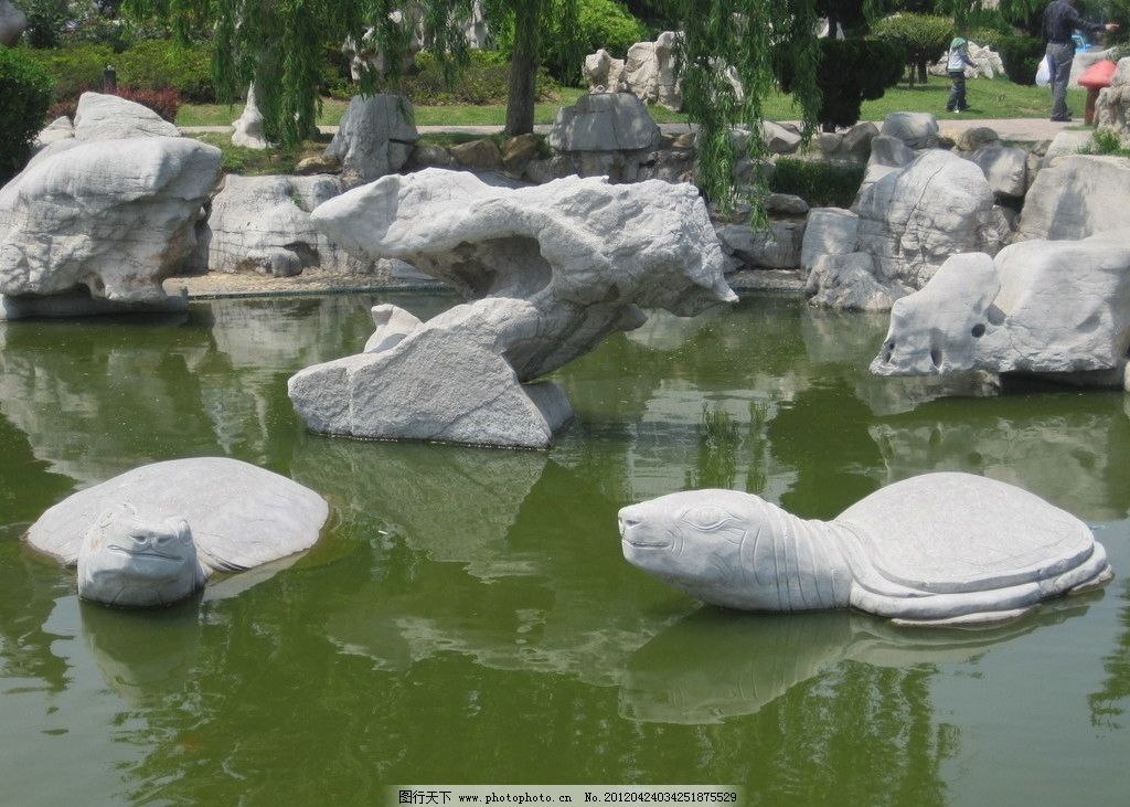 探索梦境奥秘，前两天做梦梦到捉乌龟的深层含义与解析