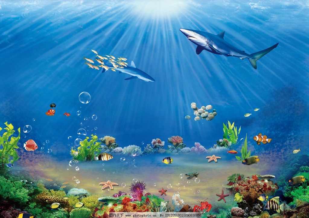 海底世界 海底 海洋世界 海底背景 新鲜鱼 鱼 海底鱼 虾 鱼缸 活鱼图片
