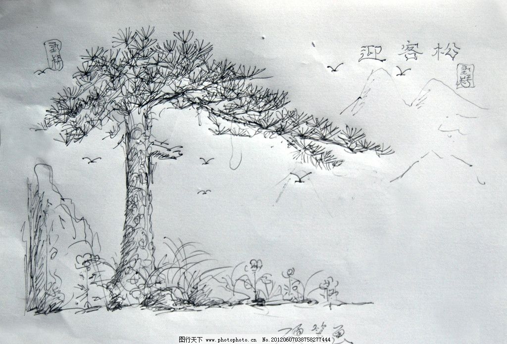 迎客松 硬笔画 美术绘画 文化艺术 摄影 300dpi jpg