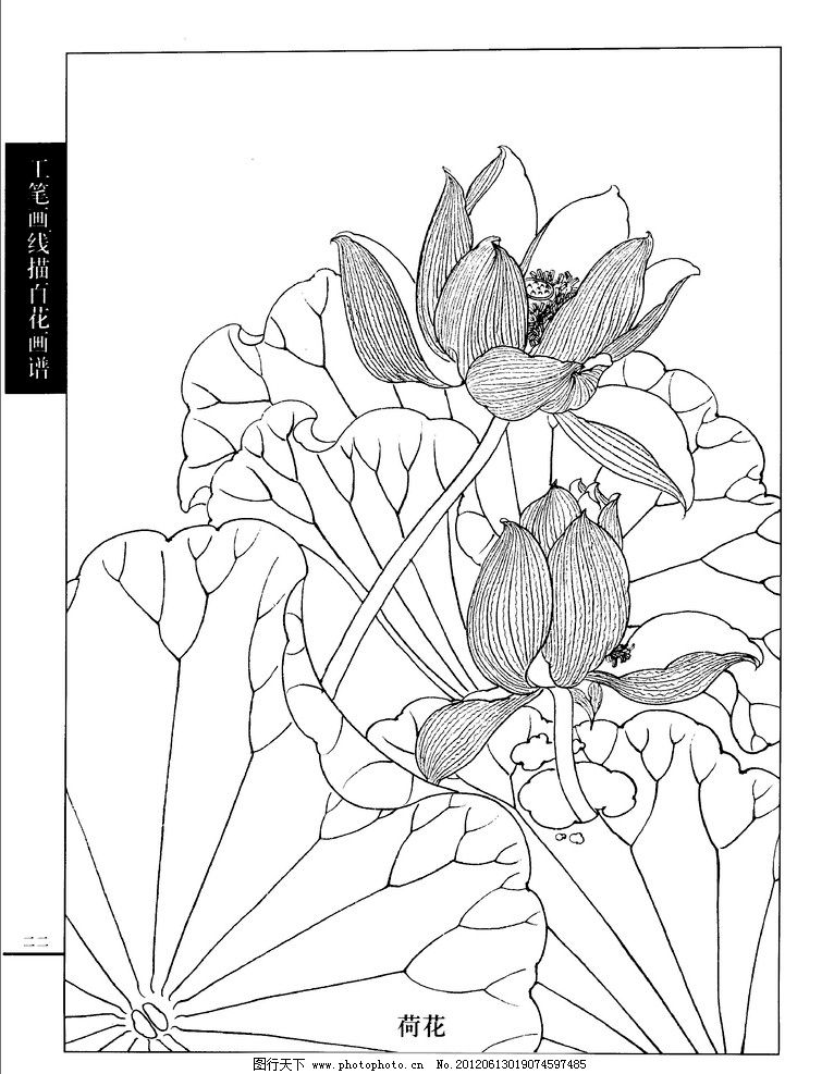 鲤鱼荷花孙秉山画童婴图童趣童戏美术绘画白描线描工笔画_图片素材