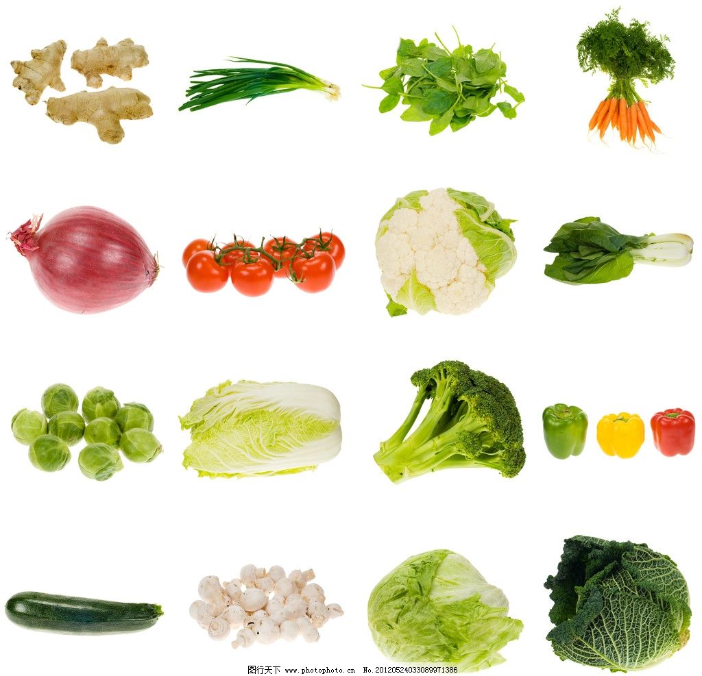 农村100种野菜图片（教你认识不同的野菜和吃法） - 科猫网